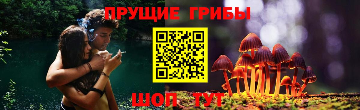 Усолье-Сибирское  Галлюциногенные грибы MAGIC MUSHROOMS  Вход с VPN  Псилоцибиновые грибы MAGIC MUSHROOMS 